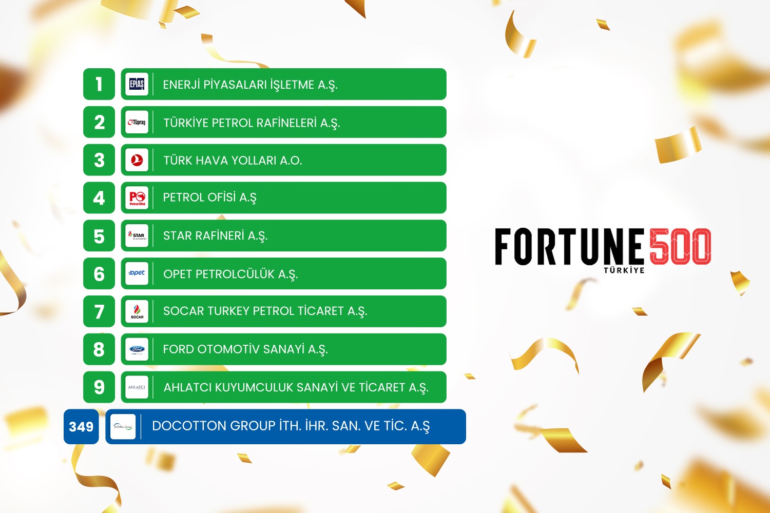 Fortune 500 Turkey