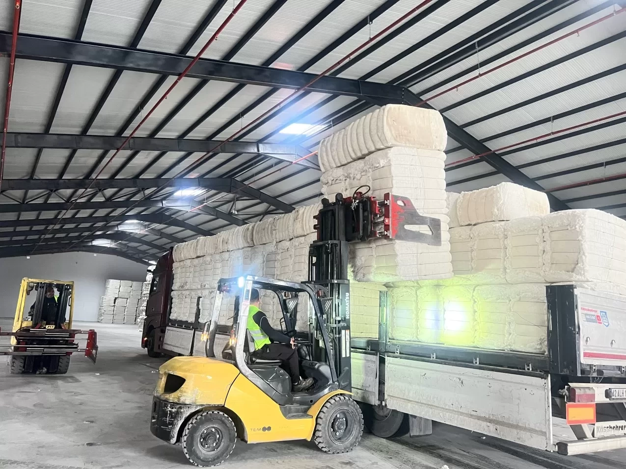 Warehouse & Logistic